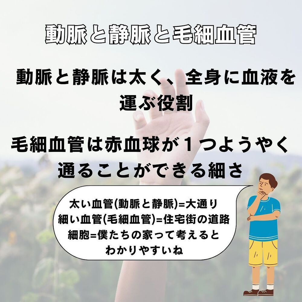 ブログ